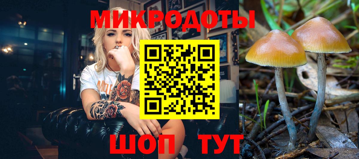 Симферополь  купить наркоту  Вход с VPN  Псилоцибиновые грибы Magic Shrooms  Псилоцибиновые грибы ЛСД 